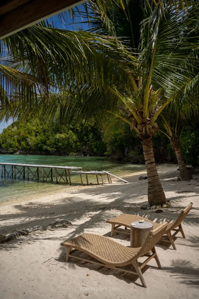 Togean sulawesi clairexplore