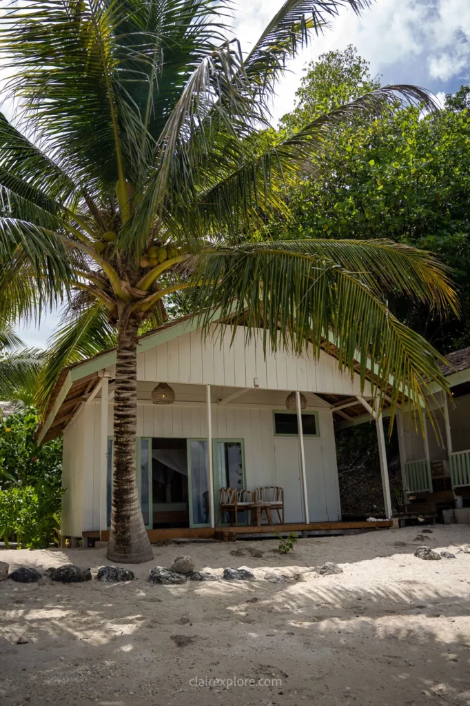 Togean sulawesi clairexplore