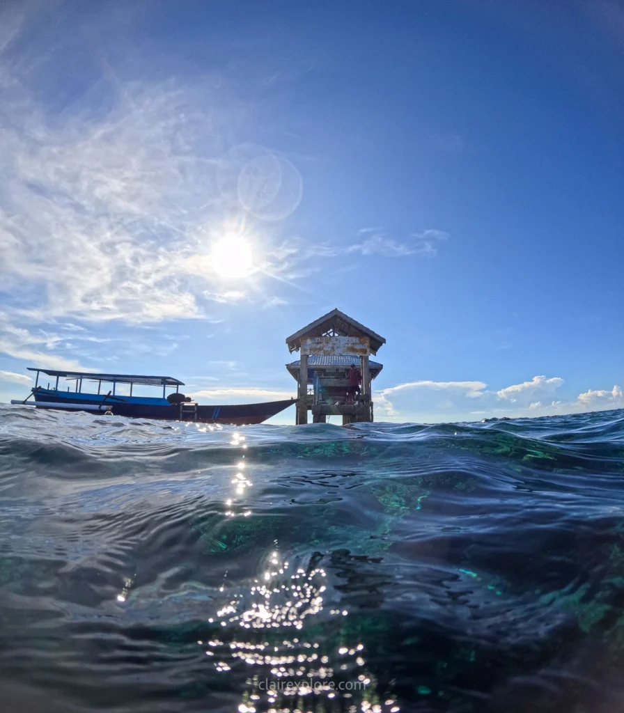 Togean sulawesi clairexplore