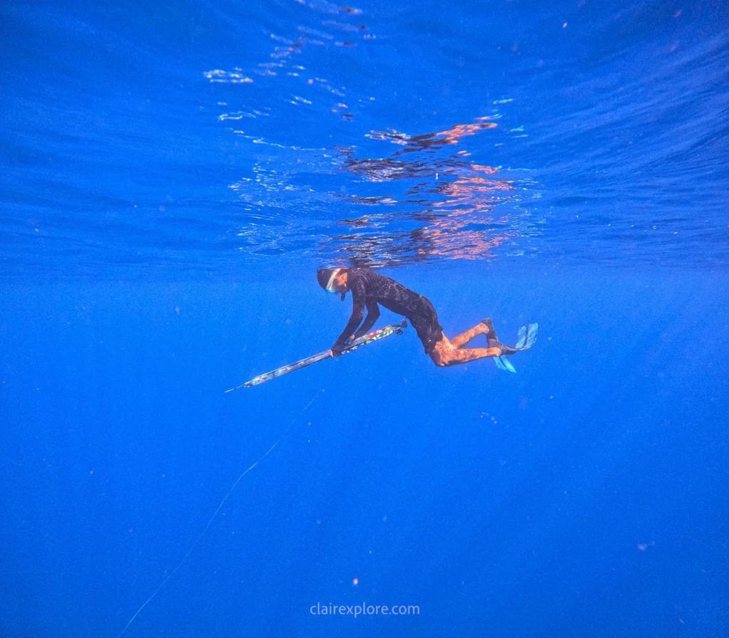 Togean sulawesi clairexplore