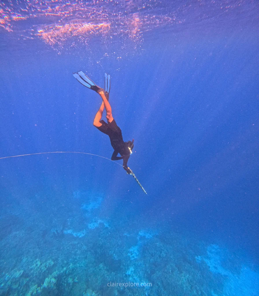 Togean sulawesi clairexplore