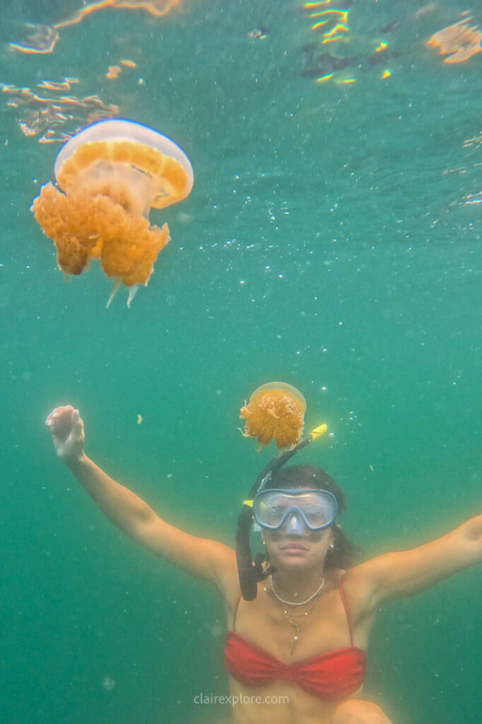 Togean sulawesi clairexplore