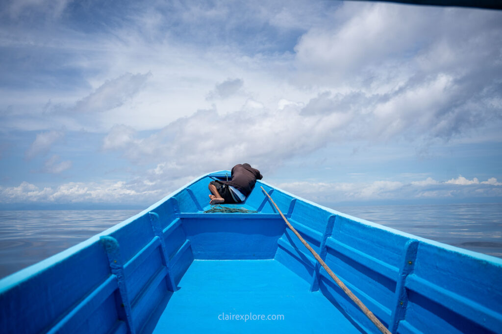 Togean sulawesi clairexplore