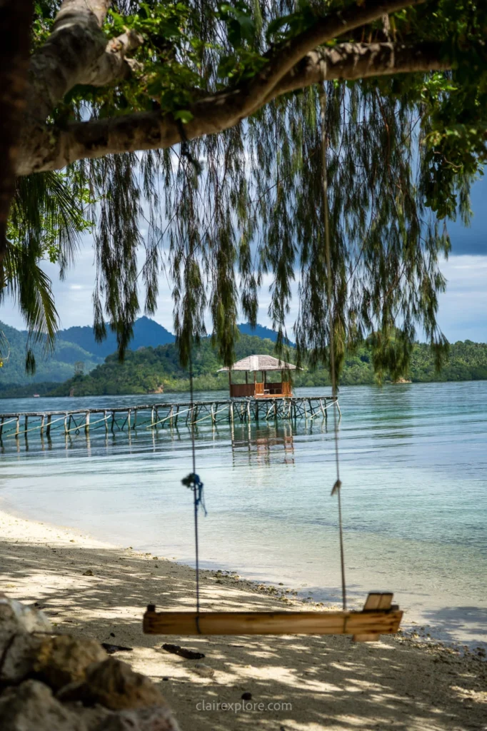 Togean sulawesi clairexplore