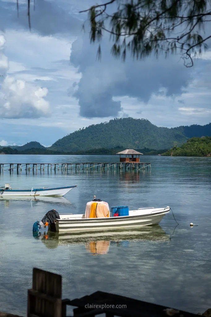 Togean sulawesi clairexplore