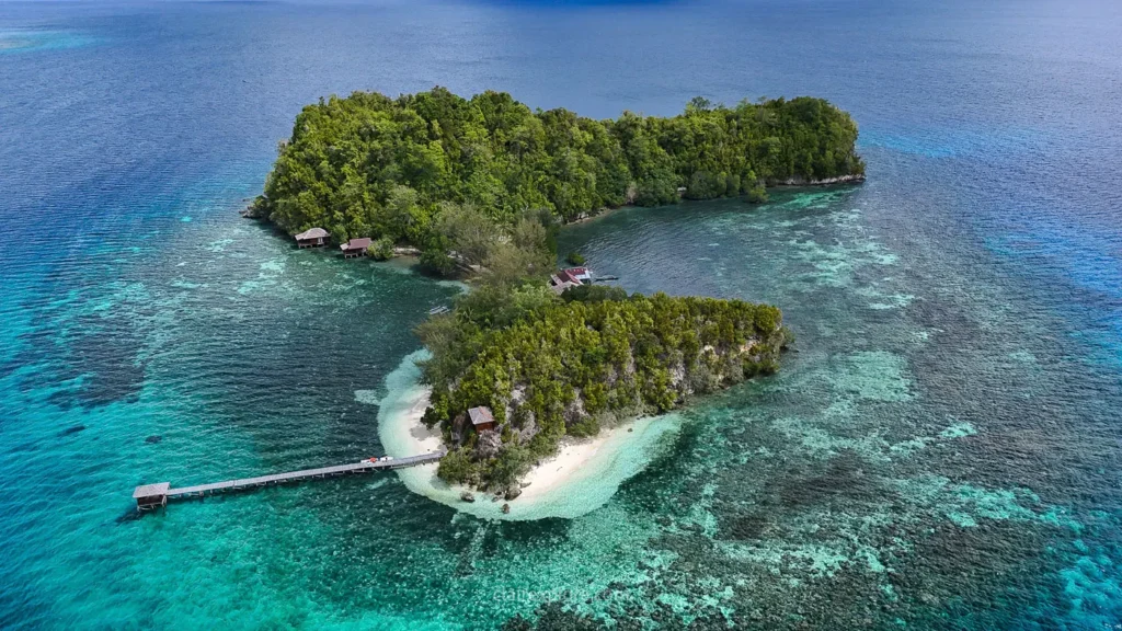 Togean sulawesi clairexplore