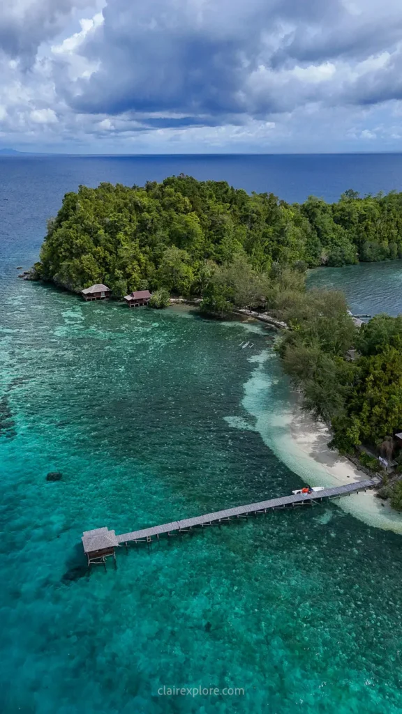 Togean sulawesi clairexplore
