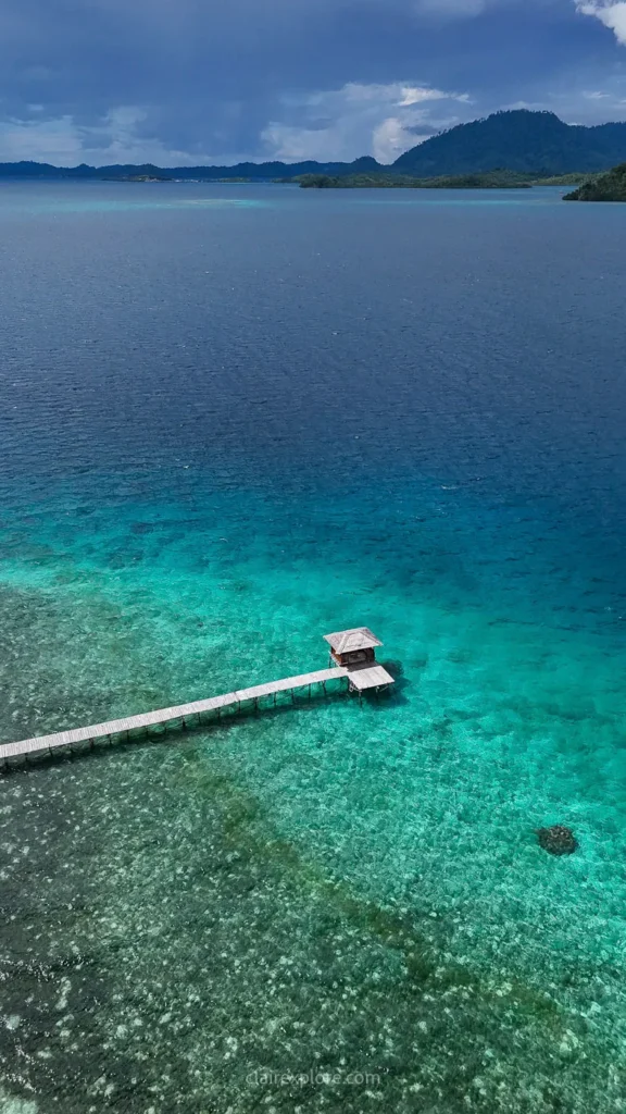 Togean sulawesi clairexplore