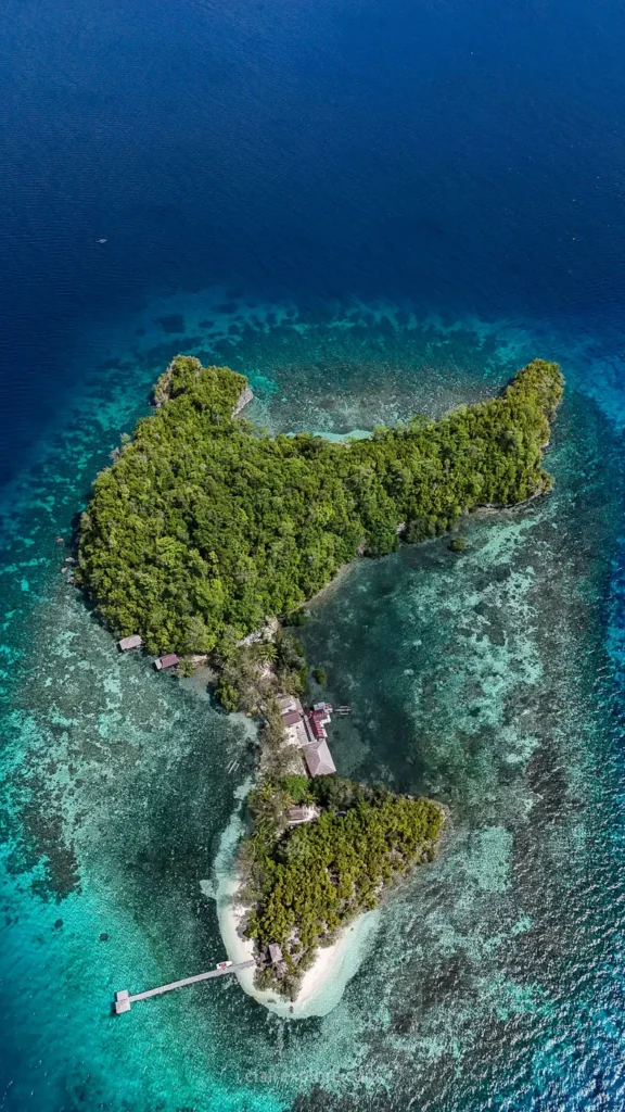 Togean sulawesi clairexplore