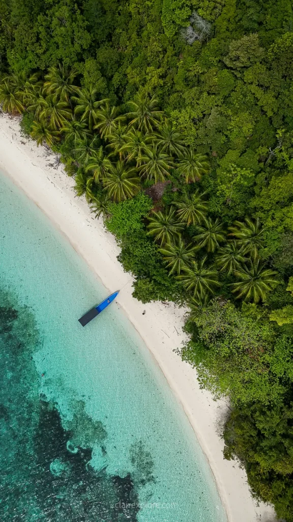 Togean sulawesi clairexplore