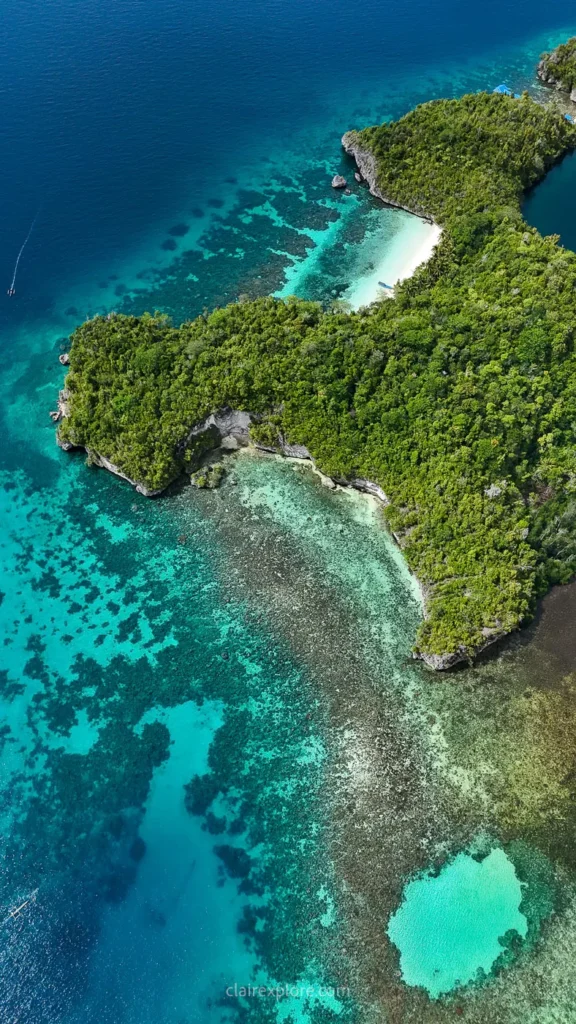 Togean sulawesi clairexplore