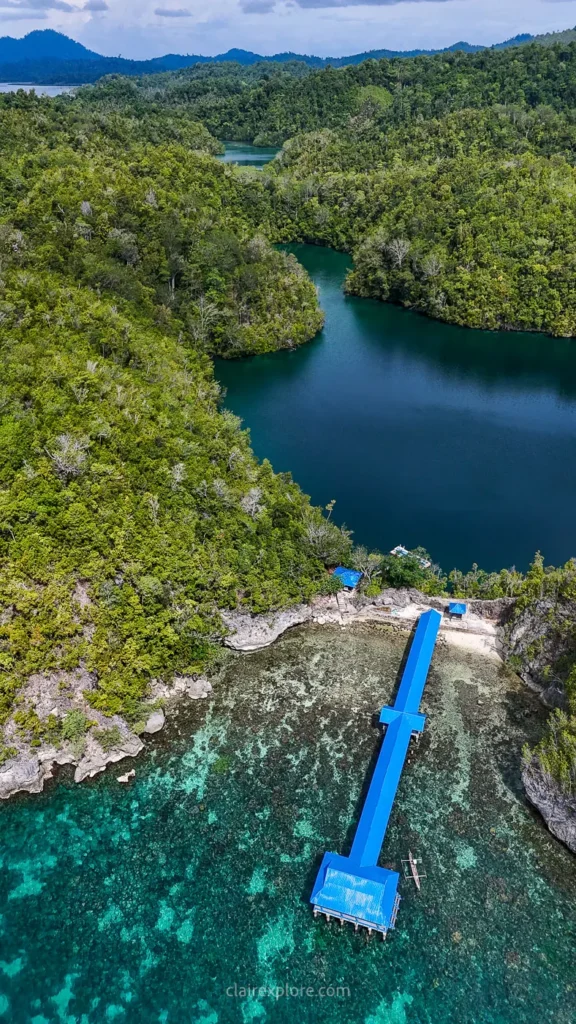 Togean sulawesi clairexplore