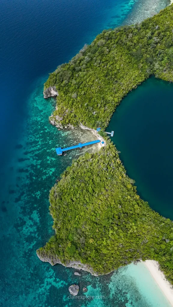 Togean sulawesi clairexplore