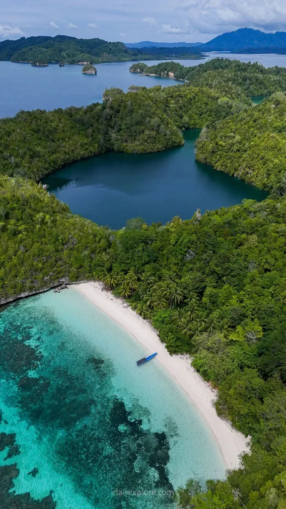 Togean sulawesi clairexplore