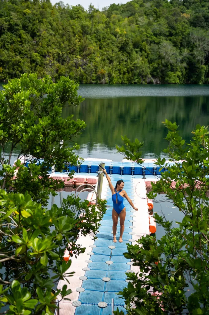 Togean sulawesi clairexplore