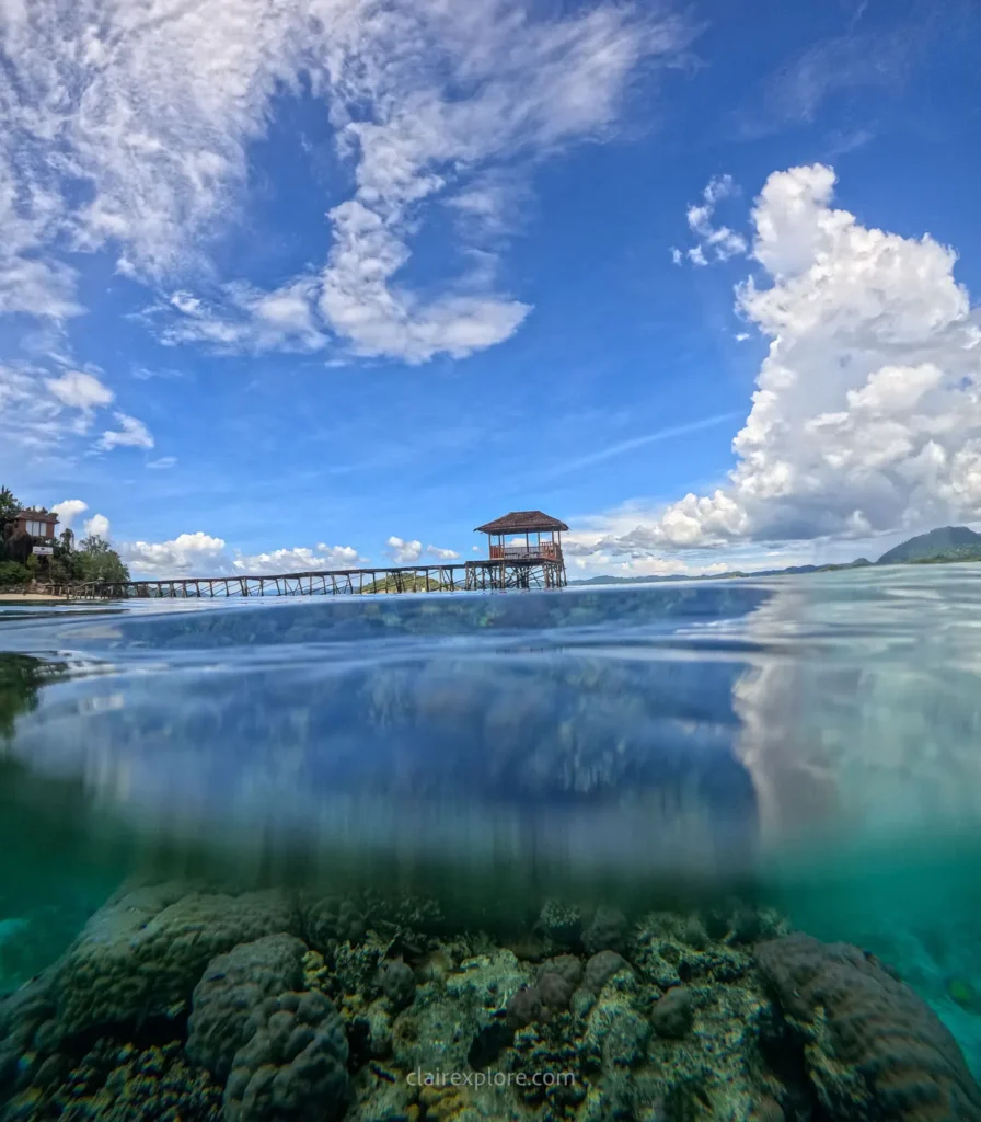 Îles Togian Sulawesi