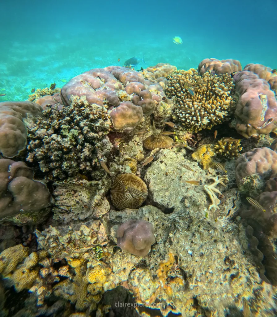 Voyage Sulawesi