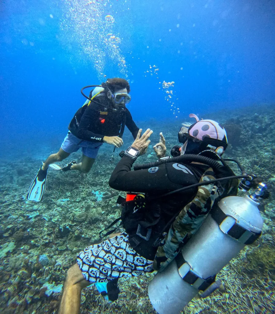 Togean sulawesi clairexplore