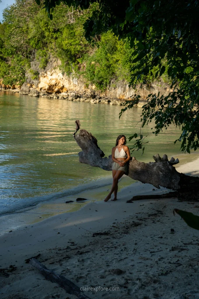 Togean sulawesi clairexplore