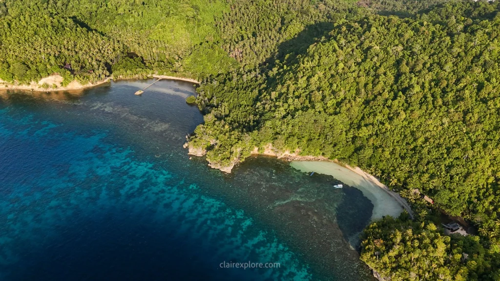 Togean sulawesi clairexplore