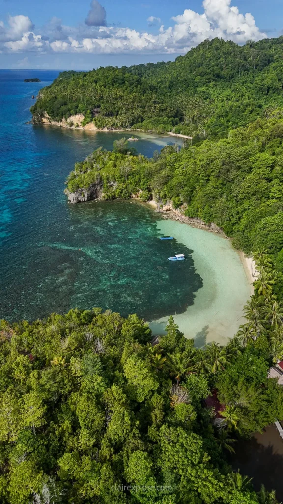 Togean sulawesi clairexplore