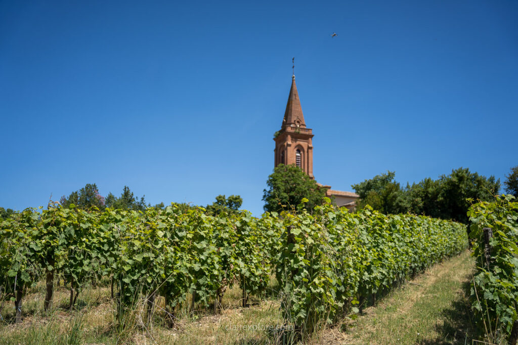 Vins de Fronton - vignes et châteaux aux alentours de Toulouse (Haute Garonne)