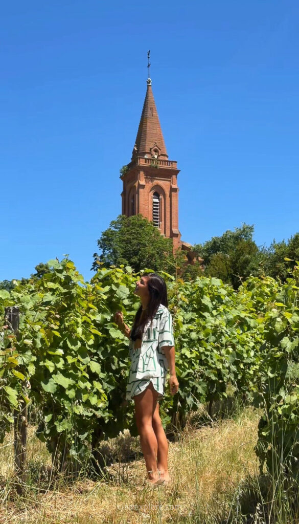 Vins de Fronton - vignes et châteaux aux alentours de Toulouse (Haute Garonne)