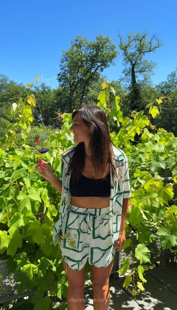Vins de Fronton - vignes et châteaux aux alentours de Toulouse (Haute Garonne)