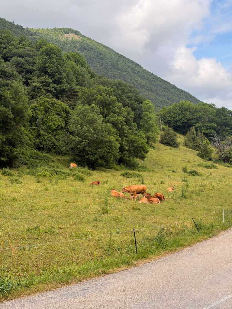 Randonnee passerelles lac monteynard clairexplore