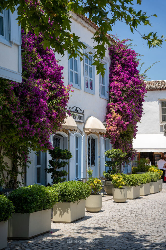 Turquie izmir bodrum clairexplore