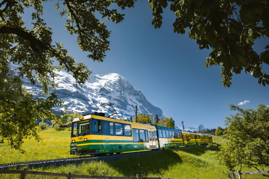 Züge WOB BOB Jungfraubahnen