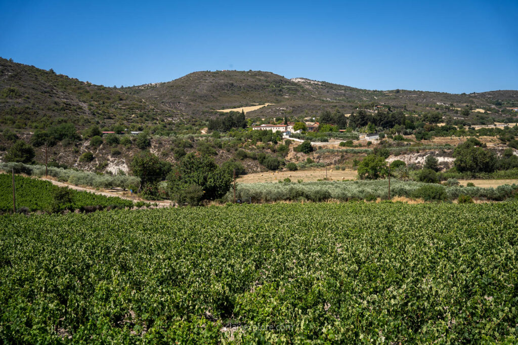 Chypre clairexplore