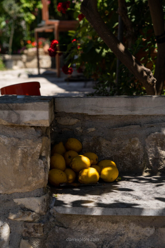 Chypre clairexplore