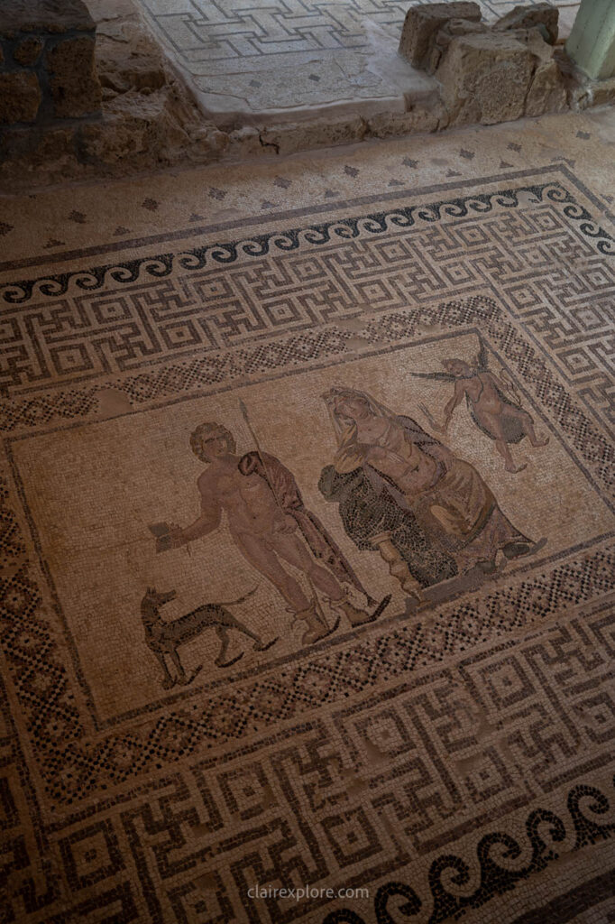 Les mosaïques de la Maison de Dionysos Paphos Chypre