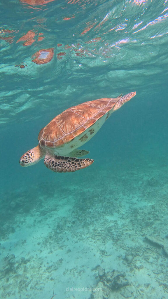 Gili air indonesie clairexplore