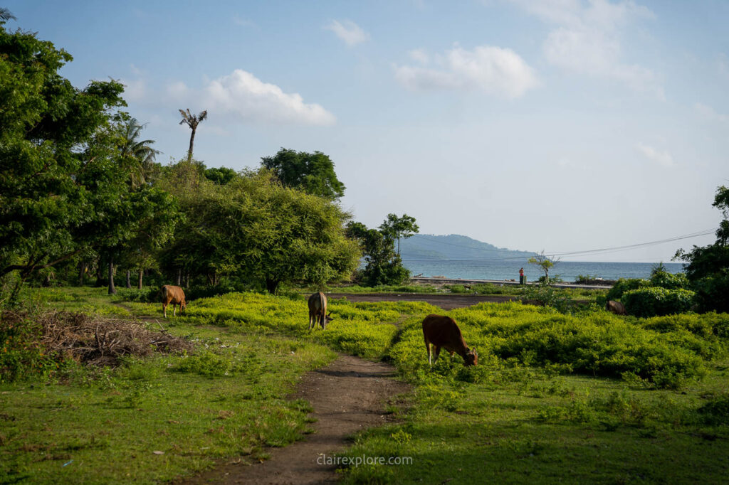 Gili Air Lombok Indonésie