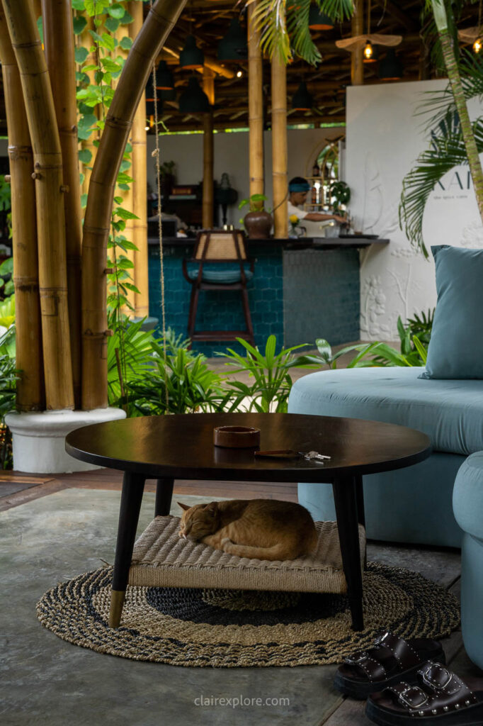 Villa Tokay Bamboo House Gili Air Lombok Indonésie