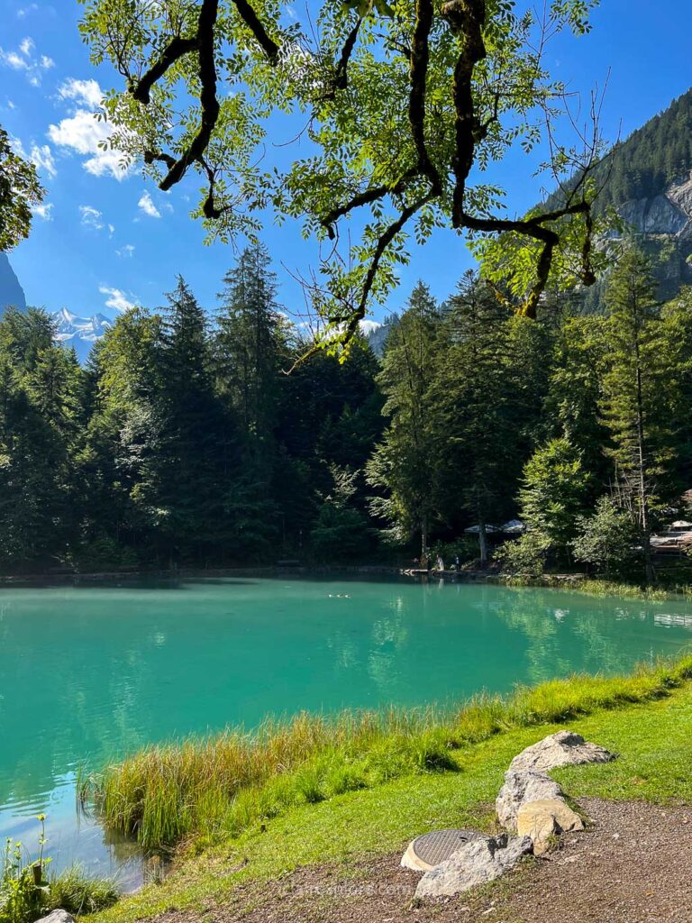 Lac Blausee Kandersteg Suisse