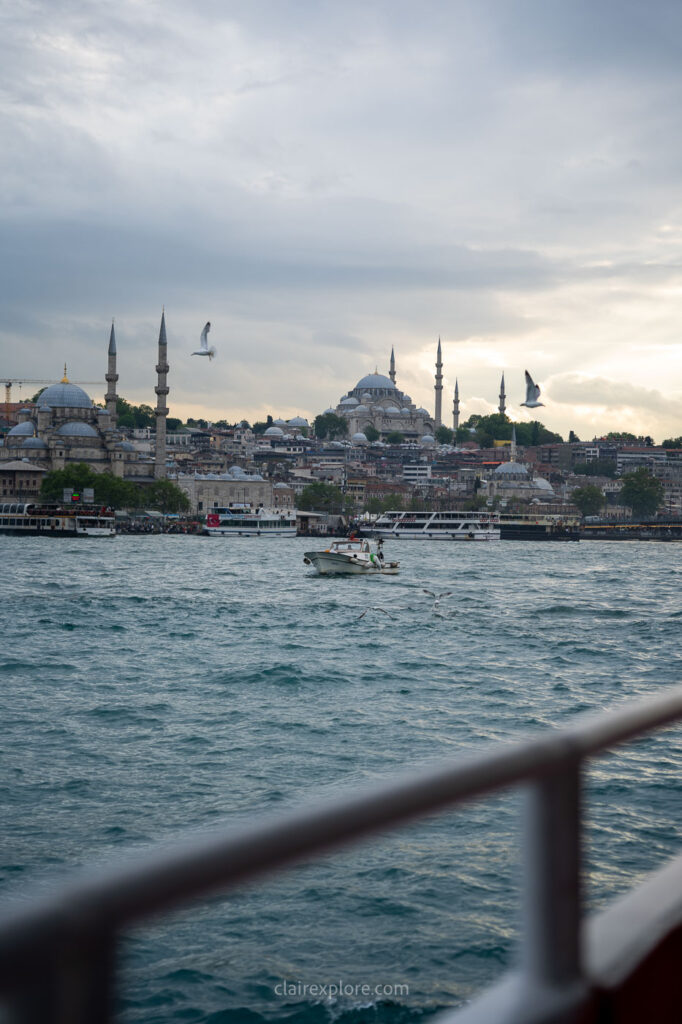 Oiseaux Ferry coucher de soleil Istanbul Turquie