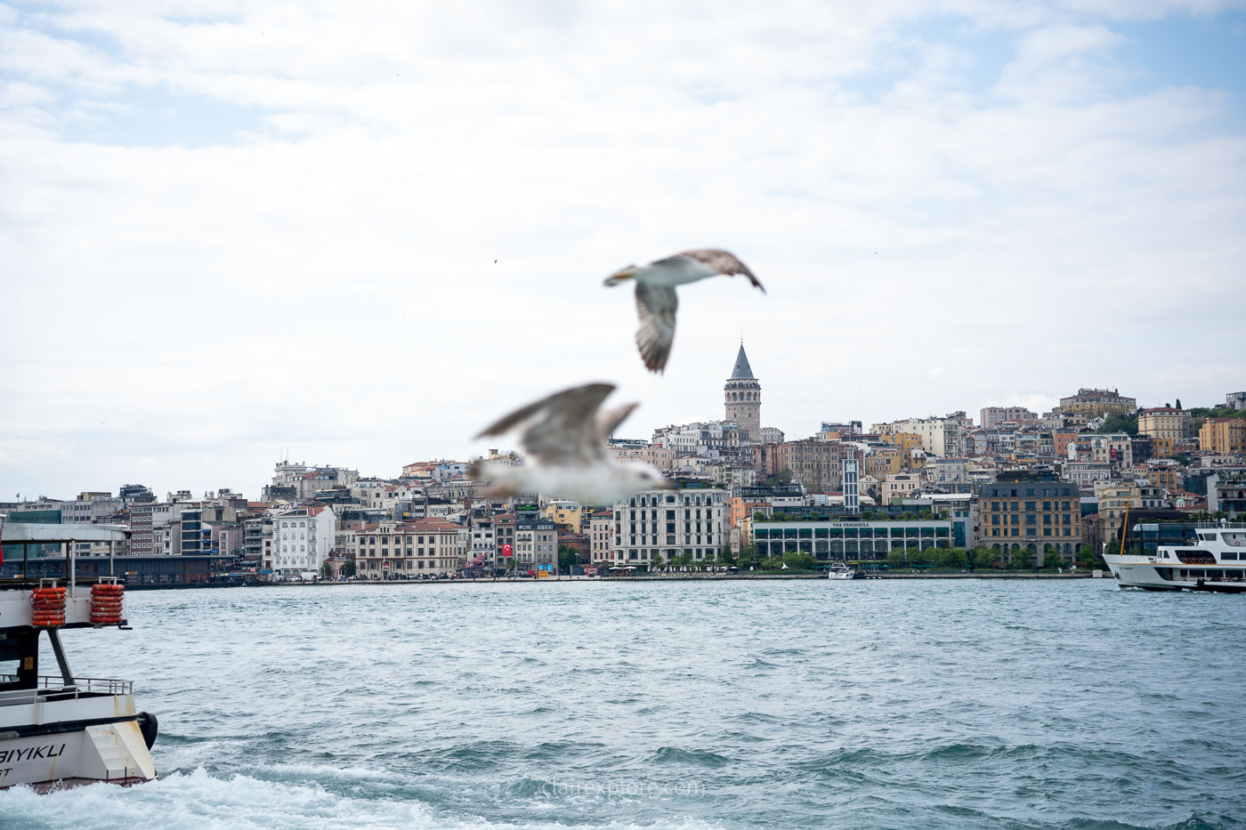 Vue sur le Bosphore et la Tour Galata Istanbul Turquie