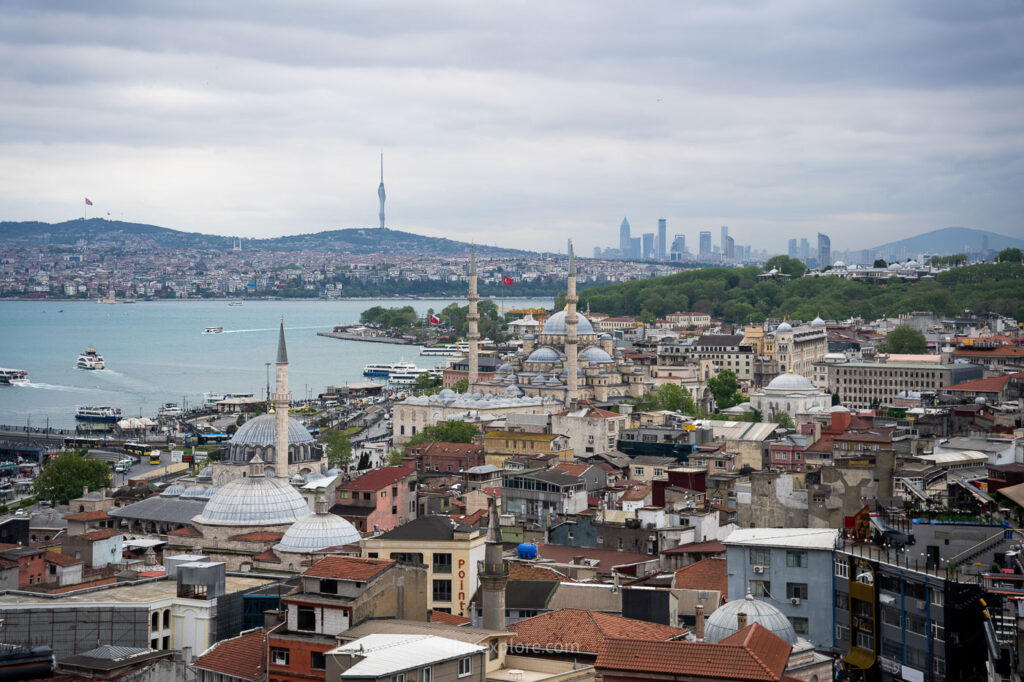 Mouette et vue sur Istanbul Turquie depuis Mimar Sinan Roof