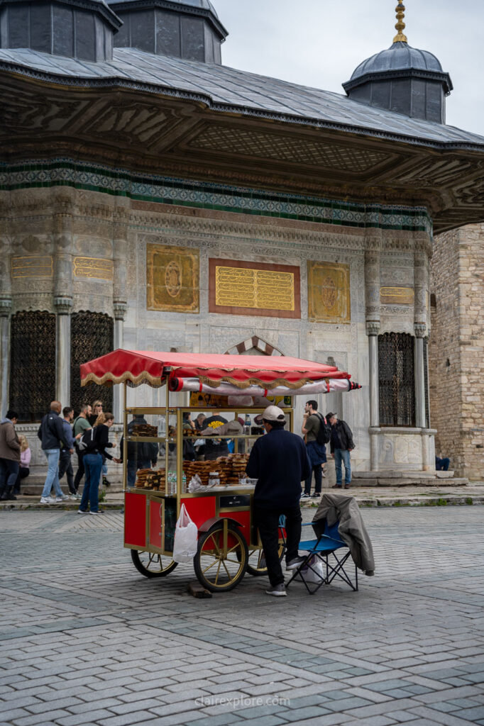Istanbul turquie clairexplore
