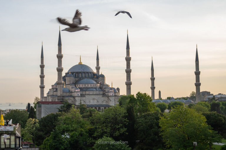 Mouettes coucher du soleil mosquée bleue Istanbul Turquie