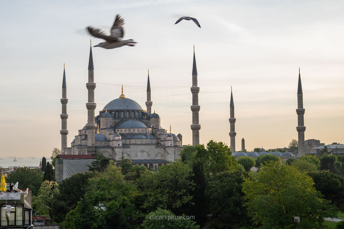 Est-ce que l’Istanbul Tourist Pass est rentable ? Comparaison et prix 2026