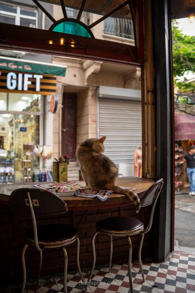Istanbul turquie clairexplore