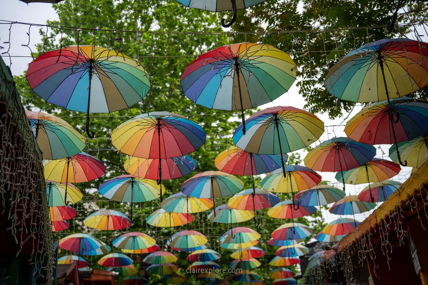 Parapluies colorés dans le quartier de Balat à Istanbul en Turquie