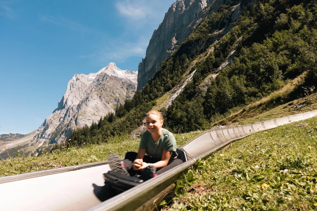 Luge d'été