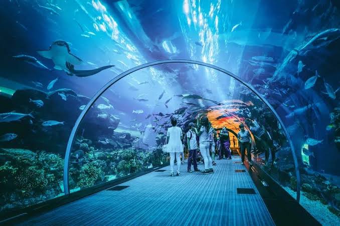 Aquaria klcc