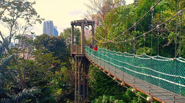 Kl eco forest kl