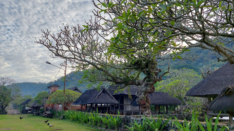 Tenganan